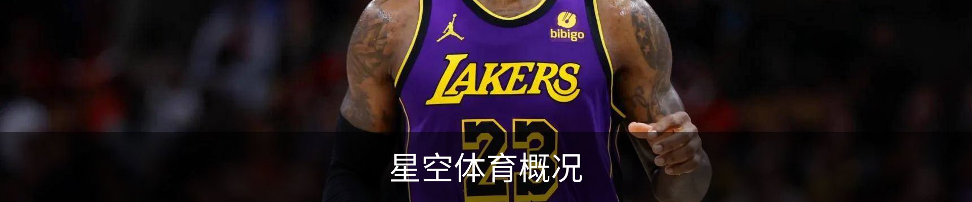 星空体育概况